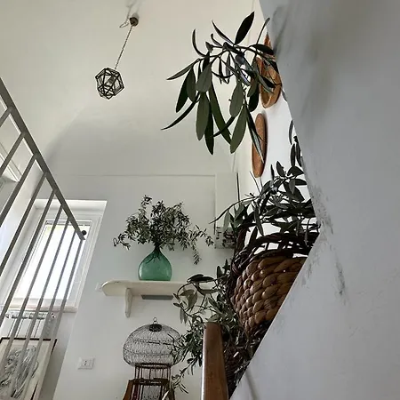 La Casa Sul Mare *